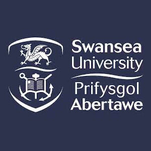 Swansea University